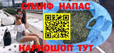 СК Гагарин