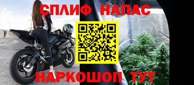 СК Гагарин