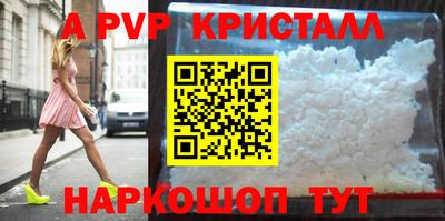 СК Гагарин